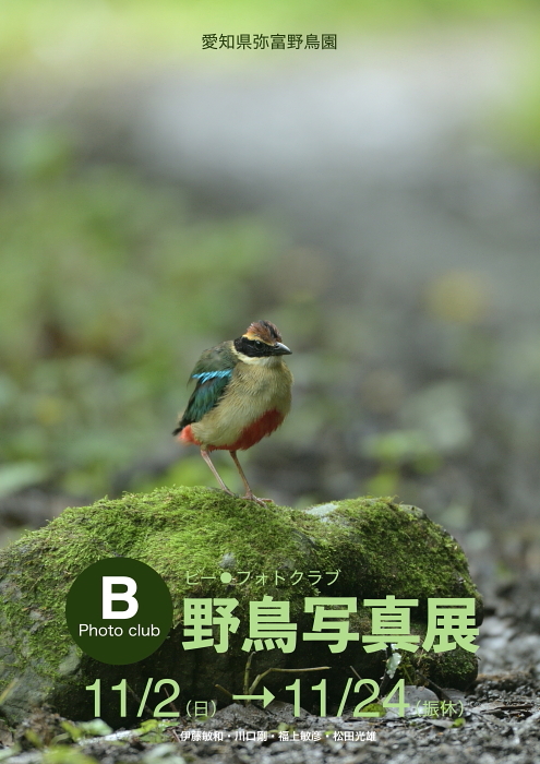 写真展