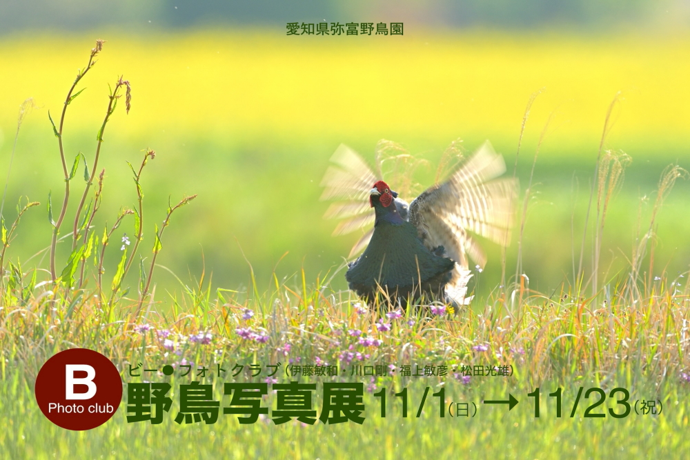 写真展